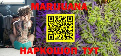 винт Камышлов