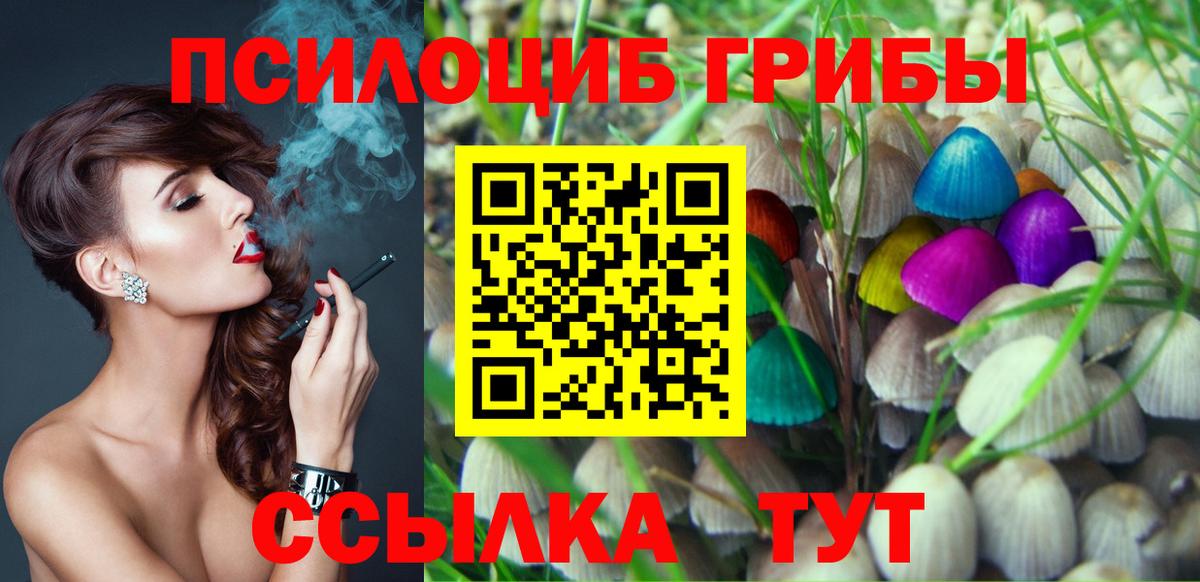 Псилоцибиновые грибы Psilocybe  Вход с VPN  Кудымкар 