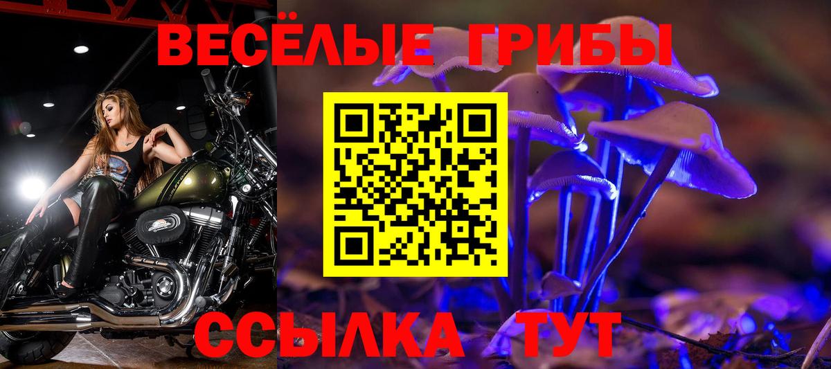 Галлюциногенные грибы мухоморы Кудымкар